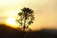 每日读本书@32岁复旦女博士临终感言: 人一生最该看透的两件事！