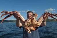 「雨后的空气」直击：帝王蟹“捕蟹者”职业，工资丰厚月薪10万