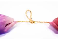 禽倌■当狂人遇上狠人，当火象星座遇上土象星座，这恋爱可就有味多了