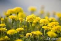 【作者1724074】短小而精辟的人生哲理句子 经典透彻句句都很在理