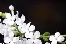 「老蒋书房」爷爷告诫我：生活越难，越要处理好和这四个人关系，才能扭转运