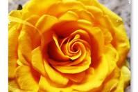 「人生阅历分享」让人受益终身的人生感悟句子，字字珠玑，值得一读