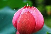 #人生阅历分享#精辟犀利的个性说说，内涵深刻，醒悟人生