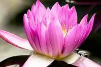 #人生阅历分享#很有品味的人生感悟短语，经典深刻，值得反复品读