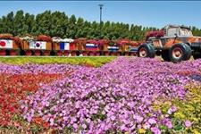 「禅读TB」人生因有理想，而充满动力