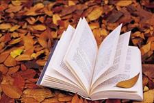 语文梦工厂@一组幽默睿智的人生感言，带给你真实有效的处事之道