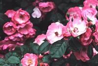 #宇录良言#抚慰人心的精致短语，句句透彻，沁人心脾