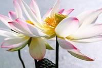 宇录良言：意义深远的个性说说，句句大智慧，启迪人生