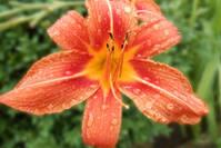 【瞎闹闹】比你强的人是不会嘲笑你的，那都是比你弱的人才会干的事