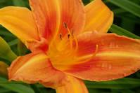 瞎闹闹@结如果真的打不开，你就给它系成个花样儿，其实生活就是这样