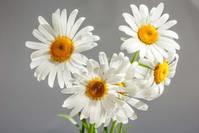 [人生阅历分享]经典深刻的心情短语，内涵深刻，句句入心