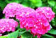 「道与欢同学」做人，别不好意思，脸皮要厚点！