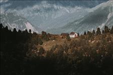 #木子尚mzs#情不敢至深，恐大梦一场卦不敢算尽，畏天道无常