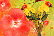 「佳作有约」人生总是有许多的不如意，我们要放宽心