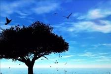 「情感恋爱学堂」你多没安全感，你的爱情就注定有多惨