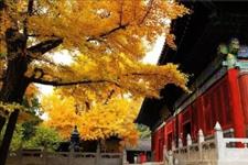 【正能量名录】佛说：苦非苦，乐非乐，只在一念之间