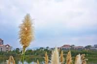 「励志的新竹」有目标的人在奔跑，沒目标的人在睡觉 因为他不知道要去哪里