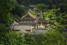 多情种子无情苗：窄若手掌的生命，走着走着，便会宽若大地