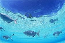 【谢谢说生活】这四种男人，女人要是遇到了就是福气，一定要牢牢抓住