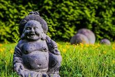 【圣度文化】学佛后，有了这十条感知，说明你走对了方向