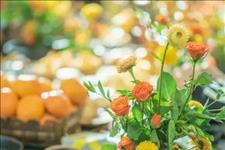 #文思泉涌#世界上什么人最幸福？