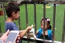 育儿有话说：小男孩接妹妹放学，站在校门口和妹妹分享雪糕的画面，暖心又感