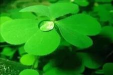 「两性美文情感文学集」宁可孤独，也不违心