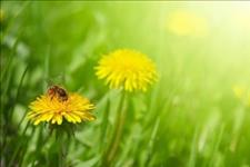 「涂小丫」宋丹丹：自己，才是最硬的铠甲