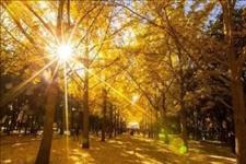 【一禅君心理学独家解析】不要等一个人沉默无言了，才来心疼，那时我已不想