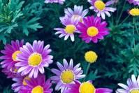 【百家故事】人生如逆旅，吾亦是行人