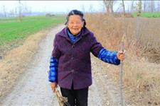 新闻速递：两儿子住楼房，母亲住铁皮，93岁老太养老辛酸事