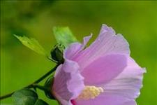 #校园留声机#每个人，拥有界限感，友谊才能长存