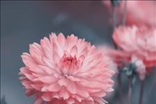 「校园留声机」水，越淡越清澈；人，越淡越快乐。