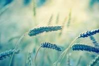 知心女士@越是命好的人，越懂得这四句话，人生越过越有福分！