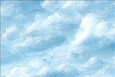 「句馆」白落梅语录：守一帘烟雨，过淡然人生