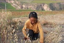 「网逛社会」父母去世姑姑养我10年，毕业后姑姑一句话，我决定不再回家