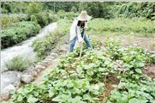 「温柔不美」姑娘穿民工衣服参加聚会遭同学取笑，买单时来了一人，同学很吃