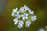 #励志司机贺贺#这段话，说进多少人的心里？