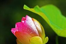 #美文鉴赏#一个人在不在乎你，一眼便知？