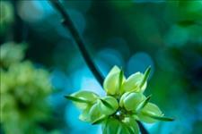 [老蒋书房]亲爱的，我在想你，你知道吗？