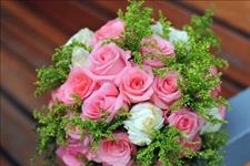 [婚嫁520]粉玫瑰代表什么意思 粉玫瑰花语是什么