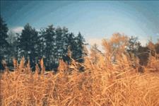 「一正能量一」世界上最温暖的事，莫过于有人懂，有人疼