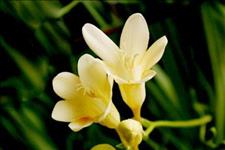 #感悟哲理美文#秋渐深，多珍重