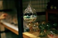 [老蒋书房]幸福是因为你看到别人的不幸，不幸是因为你只看到别人的幸福