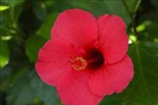 感悟哲理美文■留一份安静，给自己