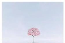 美文鉴赏■你穷，是因为你没有野心