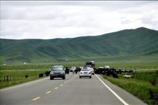 【汽车大咖】手动挡跑高速也有技巧？看看聪明司机怎么说，多了解没坏处