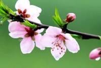 「男女情感心灵故事」有些人，不愿再提起，却永远也不会忘记