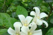 美文鉴赏@相识靠缘分，交心靠真诚