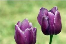 美文鉴赏：有些事，计较多了心会累